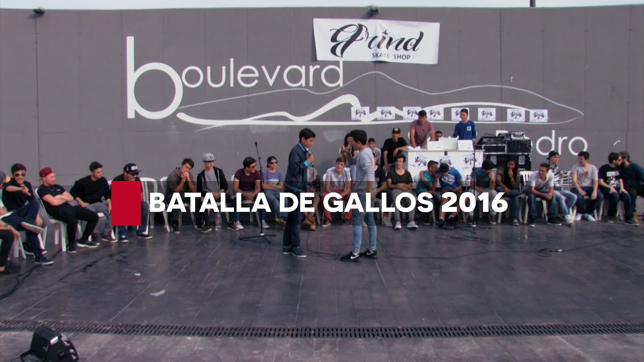 Batalla de Gallos San Pedro Alcántara 2016