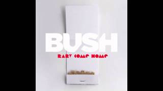 Bush - Baby Come Home (Single Mix)