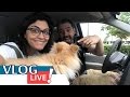🔴Vlog Live: Nosso CACHORRO vai tomar PROZAC