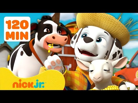 Patrulha Canina: Salvando a fazenda! #2 🐮 com Marshall | 120 min | Nick Jr.