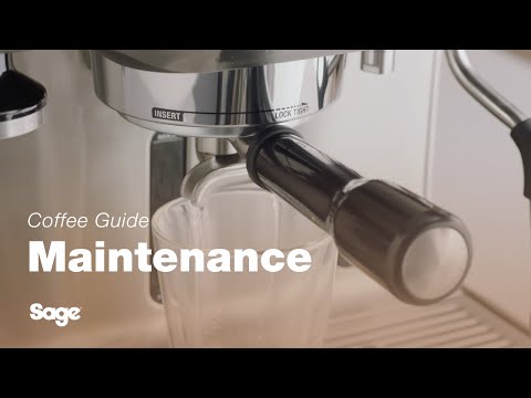 The Dual Boiler™ | Your coffee machine cleaning routine: group head purge | Sage Appliances UK
