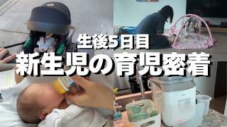 生後5日目、新生児の育児密着|アメリカ育児