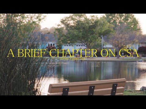 A Brief Chapter on CSA