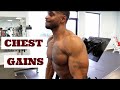 Chest Gains | Body Transformations, LLC