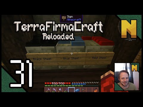 TerraFirmaCraft Reloaded - 31 - Immersive Engineering!!
