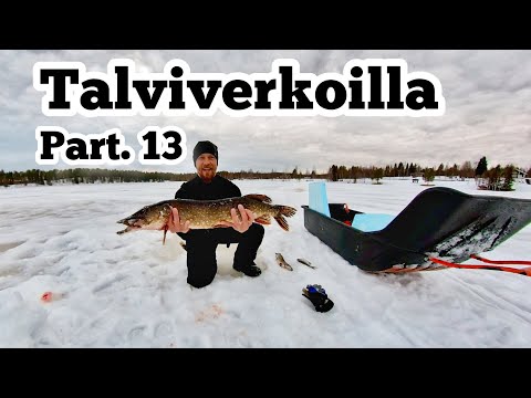 Talviverkkojen kokemista - Verkkojen nosto