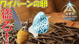 【ASA：Scorched Earth】【PS5】#20 ついにワイバーンの卵を盗りに行く！【ARK Survival Ascended】