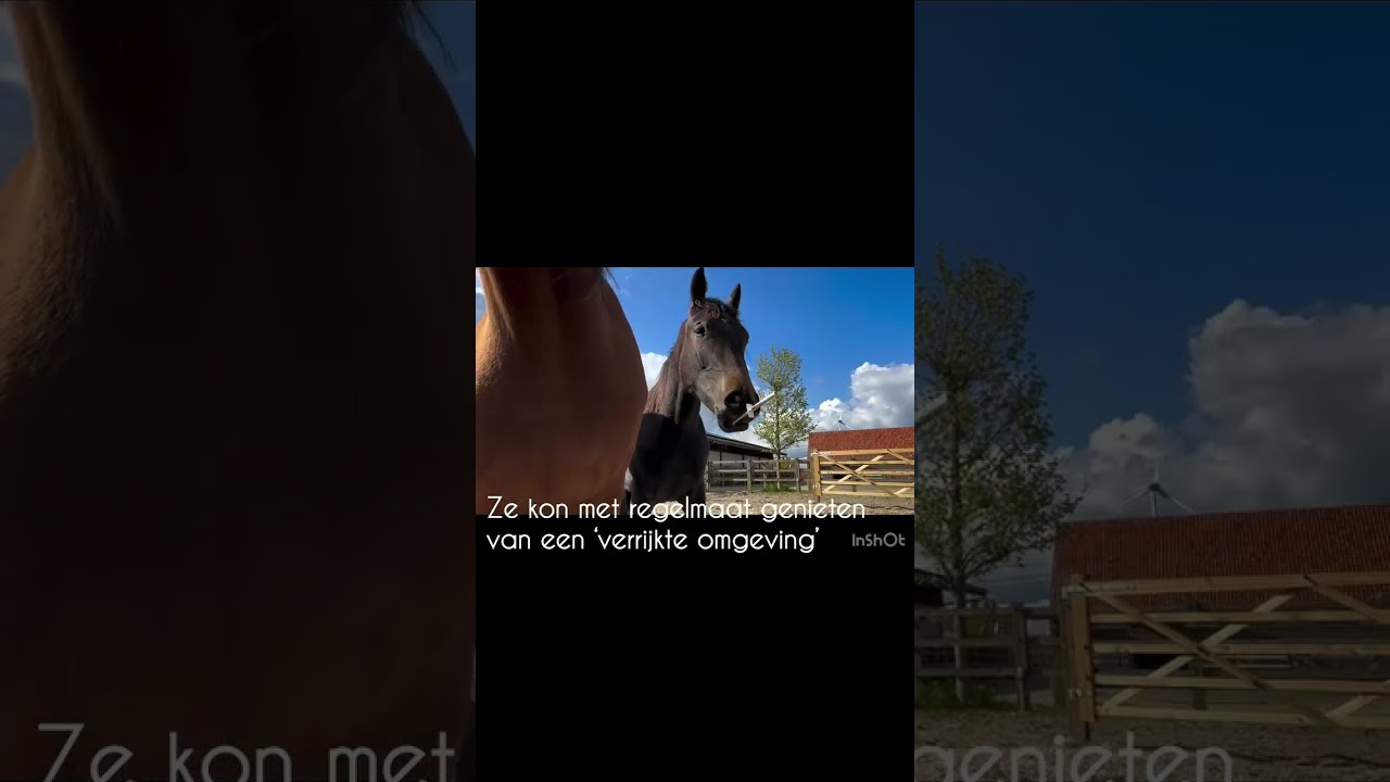 Lilibeth video 2
