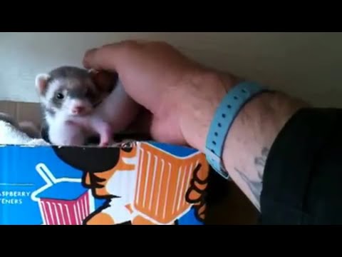 Я родила, ты их кормишь!