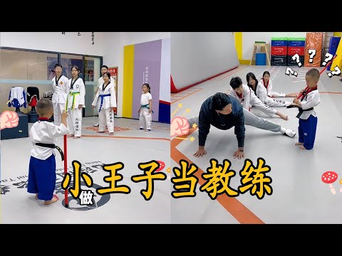 小王子当教练合集