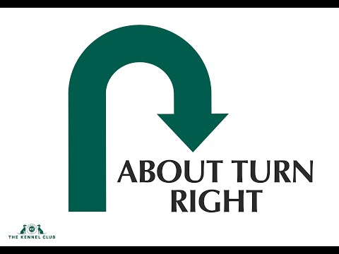 Exercise 7: About Turn Right