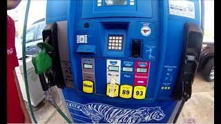 End of the World! No Gas, Just Waiting for Zombies!