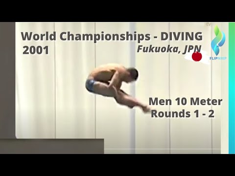 2001 Men 10 Meter Diving Finals World Diving Championships - Rounds 1 & 2
