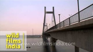 Naini Bridge, Allahabad