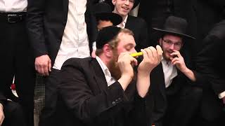 ריקוד תחיית המתים בגרסה מיוחדת ומשודרגת