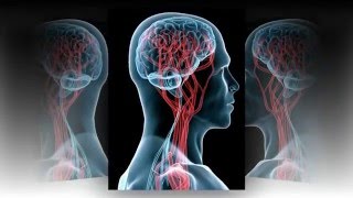 Dr. Douglas James Cottrell: The Kelley Eidem Anti-Cancer Protocol