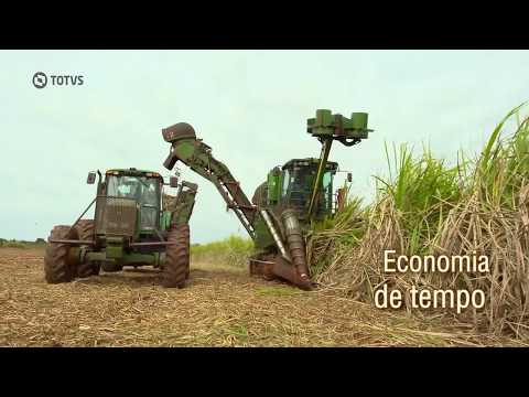 download lagu mp3 mp4 Grupo Maringa, download lagu Grupo Maringa gratis, unduh video klip Grupo Maringa