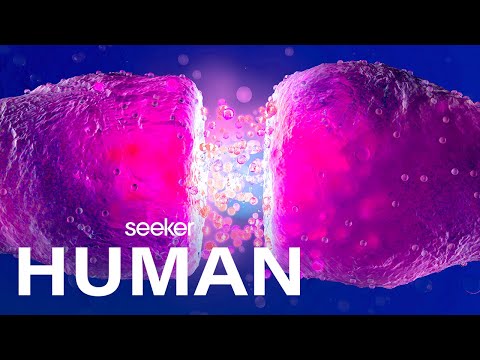 這種神經系統疾病使人們在40年內無法入睡 (This Neurological Disease Kept People Sleeping for 40 Years)