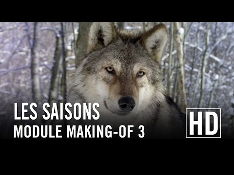 Les Saisons - Module Making-of 3