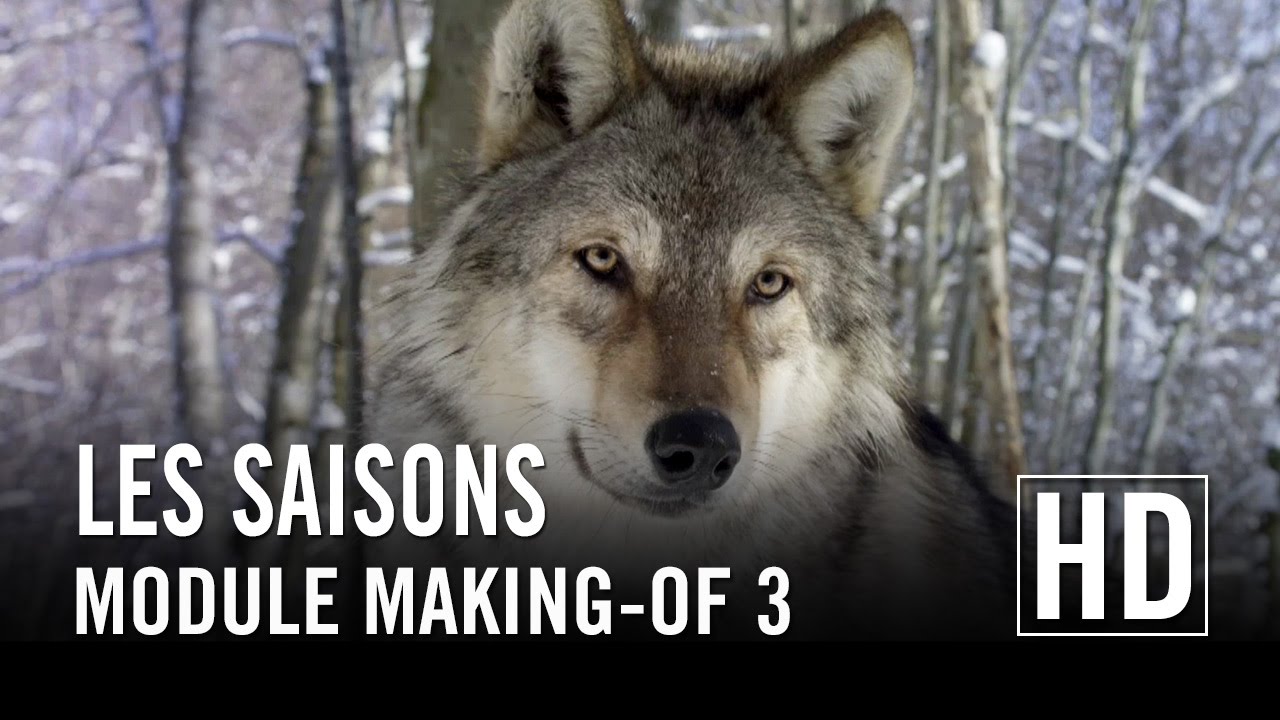 Miniature de la vidéo Les Saisons - Module Making-of 3 du film Les Saisons