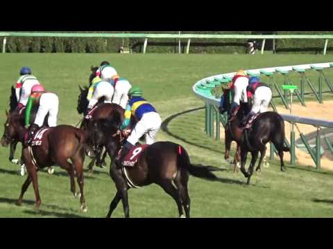 2016 ホープフルステークス Hopeful Stakes レイデオロ Ray de Oro