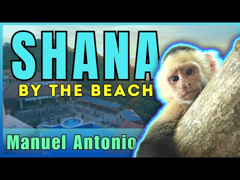 BEST RESORT in Manuel Antonio, Costa Rica ~ Shana by the Beach full resort walkthrough 🐒🇨🇷😎
