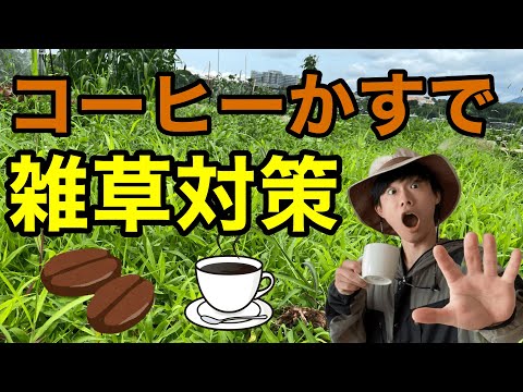 コーヒー粕の庭のヒント
