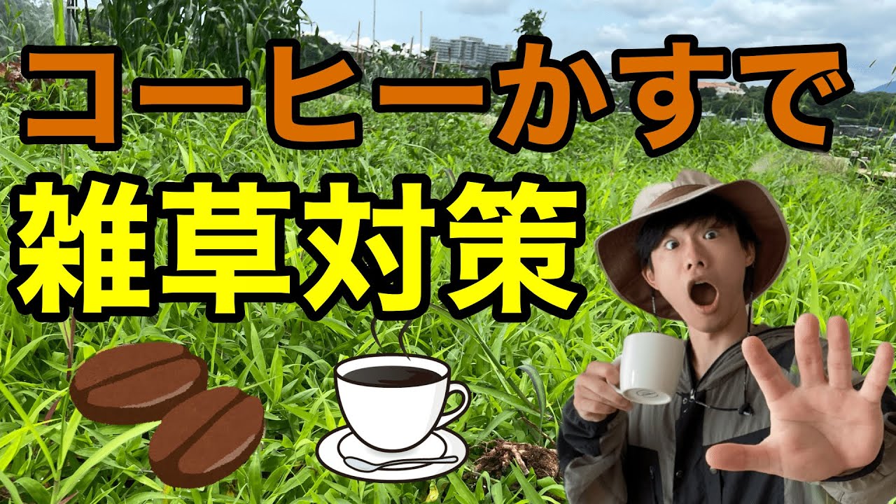【捨てたらダメ！】元園芸店員がコーヒーかすで雑草をなくす方法を教えます【ガーデニング】【園芸】【雑草対策】【コーヒーカス】