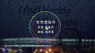 抖音 音乐 一个人的yeah 我的心 应该放在哪里 想念着你 我的双手应该放在哪里 突然想起你 歌词版翻唱林宥嘉翻唱