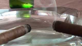 My Cousin Vinnie's Cigar Lounge-Palm Harbor, FL- Cigar's-Beer-Wine-Coffee-Music