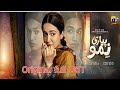 Pyari Nimmo OST | Full OST | Pyari Nimmo Drama OST | Coming soon | Hira khan , Haris Waheed | Geo TV