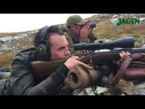 Stalking in Schottland - Hirschjagd in den Highlands