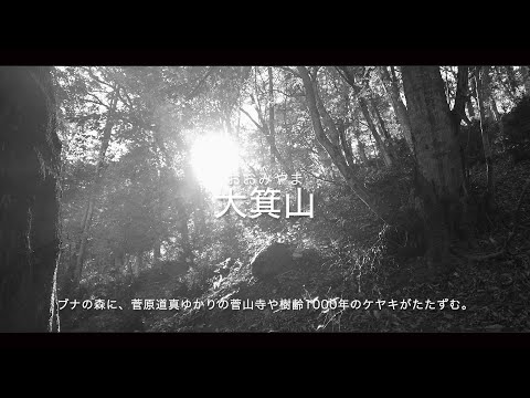 【長浜市公式】長浜の自然の中でアクティビティ（大箕山）
