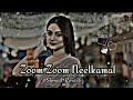 Photo Zoom Zoom Slowed Reverb Nilkamal Singh Lofi Song