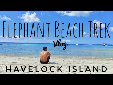 Elephant Beach Solo Trek | Havelock Island | Andaman |Achyut Deshmukh