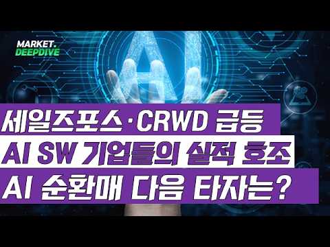 세일즈포스·CRWD 폭등! AI 순환매 소프트웨어로 확산될까? #AI #HPSP #현대오토에버 #이슈딥다이브 영상 썸네일