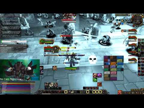 Feral PoV - Heroic King Rastakhan