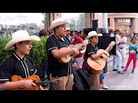 Huapangos por Eco Potosino - El Querreque, El Caimán, El Gusto, El Aguanieve, La Petenera y La Leva