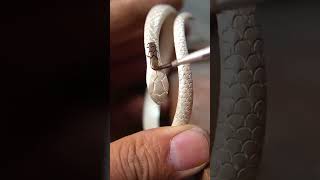 How to make a luxurious snake silver bracelet