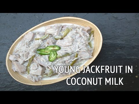download lagu mp3 mp4 Coconut Jackfruit, download lagu Coconut Jackfruit gratis, unduh video klip Coconut Jackfruit