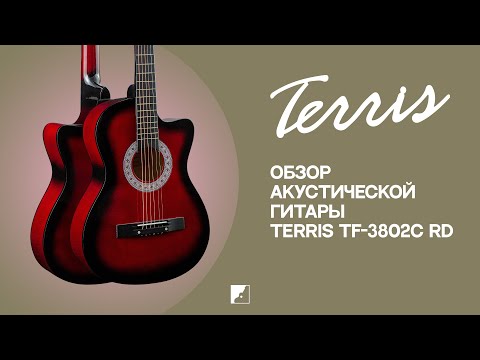 Обзор акустической гитары Terris TF-3802C