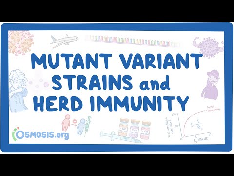 Post COVID syndrome Mental health