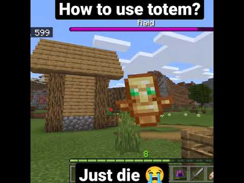 #minecraft #totem #raid #evoker