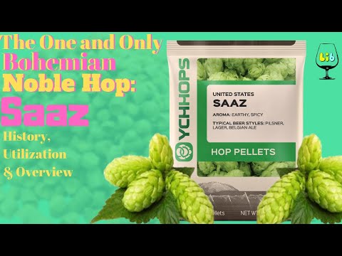 Saaz / Zatec Cheml: Hop Overview
