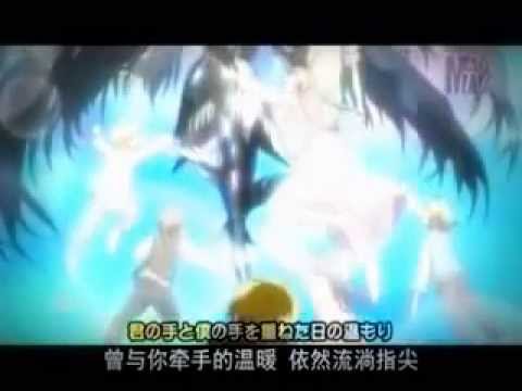 Cadena de Flores con Banda Sinaloense