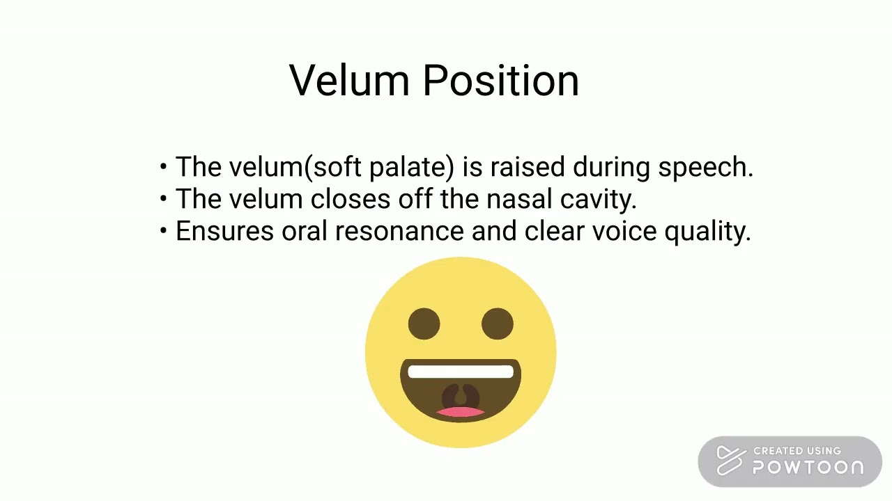 Breathing Patterns While Giving a Speech.pptx
