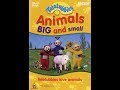 Opening To Teletubbies Animals Big And Small 2002 DVD For Moses Yacoub