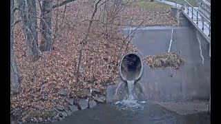 Bettendorf Duck Creek Web Camera live webcam
