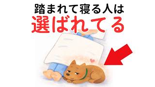 9割が知らない…犬が一緒に寝たがる本当の理由