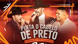 Pinta O Cabelo De Preto [Ao Vivo] Lyrics English Translation